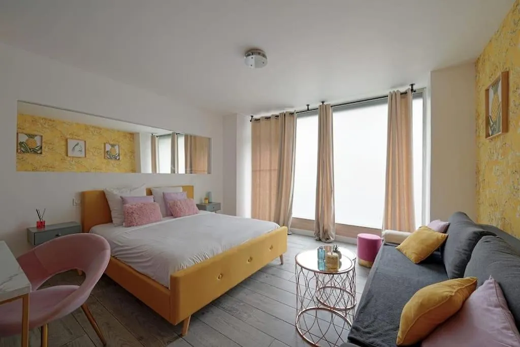 Modern Studio- Francois Mitterand Library Apartment Paris 0*,  France